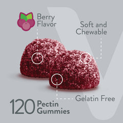 Viteey probiotic Bacillus coagulans gummies with zinc and elderberry for daily resilience.