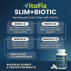 VitaFix SlimBiotic prebiotic fibers illustration shows nourishment in action