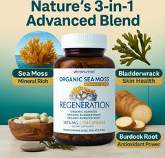 Vivanutra Sea Moss bottle with water illustrating easy daily use.