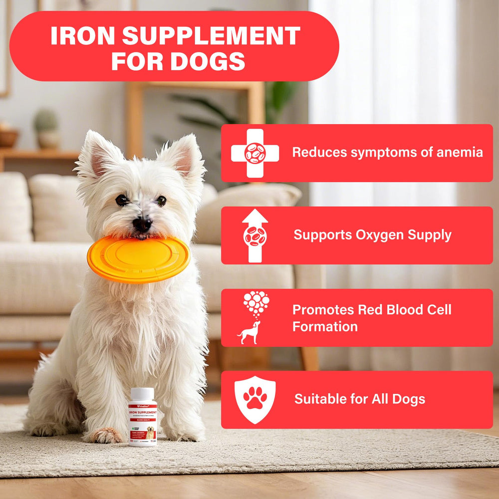 VivaElixir Iron Dog bottle front, easy daily chewable for dogs.