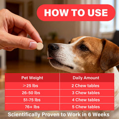 VivaElixir Vet-formulated iron supplement, USA-made for trusted pet care.
