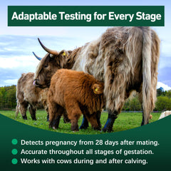 Vivometra dairy cow on-farm testing scenario illustrating use.