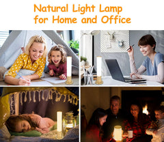 VUSIHOO lamp provides four brightness levels for customized intensity