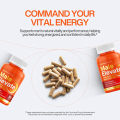 A daily routine featuring Vynora for morning and workout energy