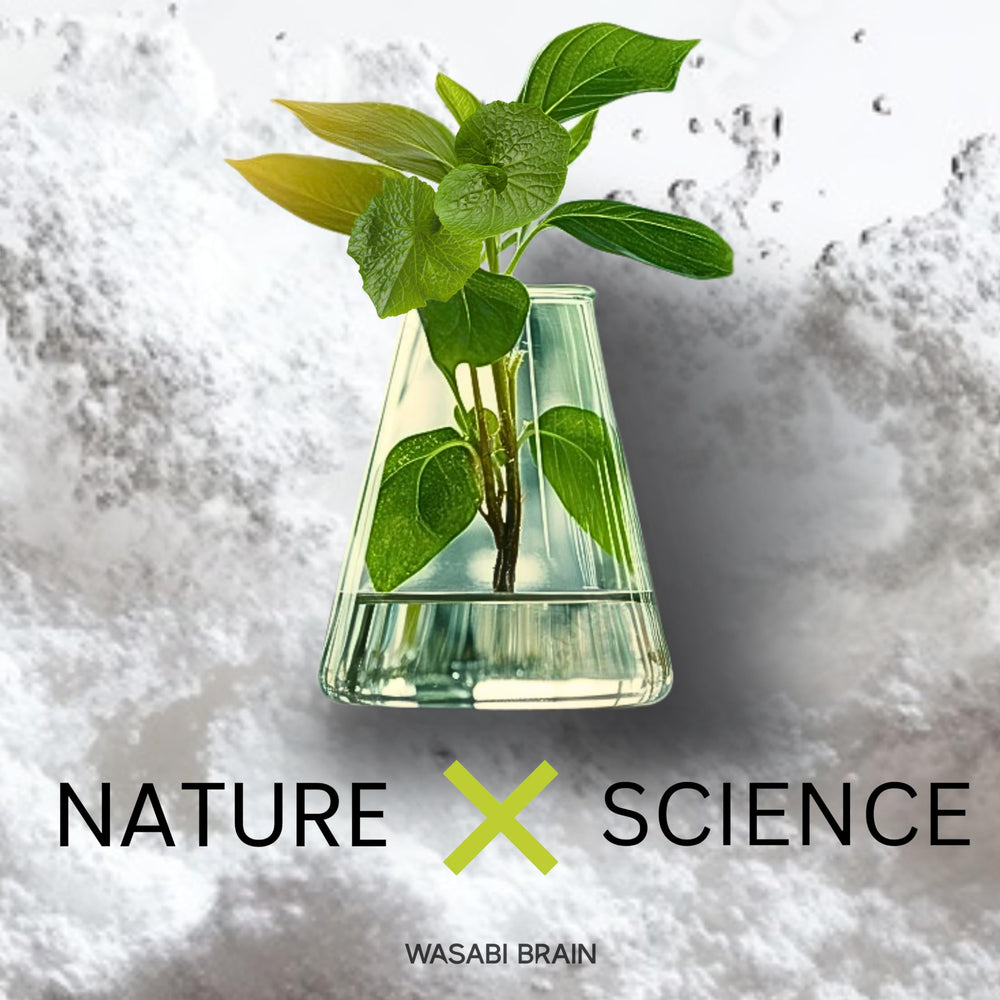 WASABI BRAIN recyclable packaging close-up reflecting eco-conscious design.