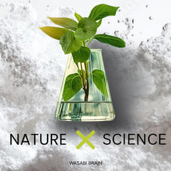 WASABI BRAIN recyclable packaging close-up reflecting eco-conscious design.