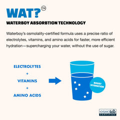 Waterboy Weekend Recovery lemon lime flavor close-up captures bright hydration for the day