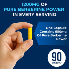 We Like Vitamins berberine hcl 1200 mg per serving—clear dosage for daily use.