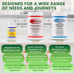 Well Wisdom Immune-support powder being stirred into a smoothie for daily wellness.