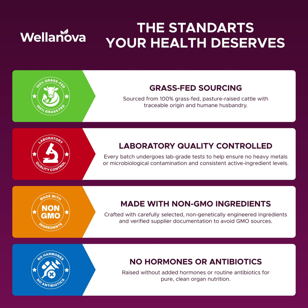 Wellanova Primal women’s energy routine image implies practical daily wellness benefits.
