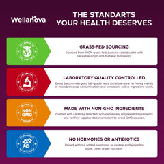 Wellanova Primal women’s energy routine image implies practical daily wellness benefits.