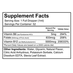 Wellgenix B12 Max liquid ingredient list highlights B6 and folate alongside B12