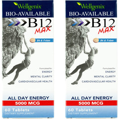 Wellgenix Bio-Available Sublingual B12 Max bottle front view highlighting fast-dissolve tablets
