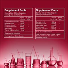 Wellgenix Puriclean x2 capsules shown for convenient detox dosing