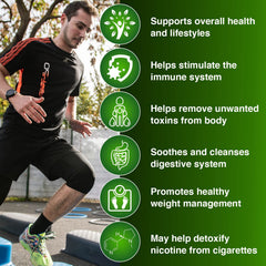 Wellgenix Strip 5 Day Detox packaging box on display for easy identification.
