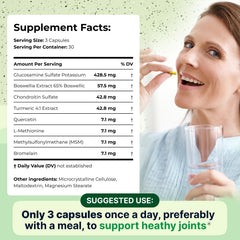 Wellnee Joint Support ingredients graphic featuring glucosamine and chondroitin for mobility