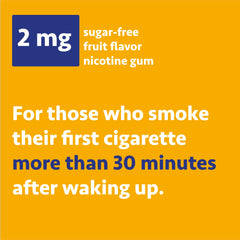 Wellness Basics nicotine gum 2mg blister pack, portable craving control.