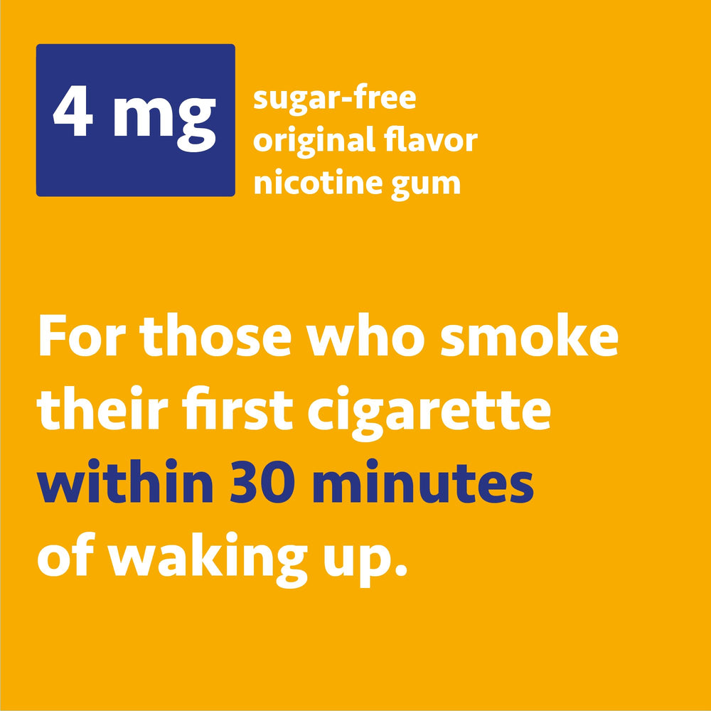 Wellness Basics nicotine gum 4mg fruit flavor gum piece close-up highlights sugar-free formula.