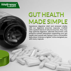 WELLNESS LABSRX Gut health illustration conveys balanced digestion and wellbeing.