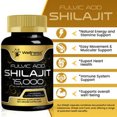 WELLNESS LABSRX Himalayan Shilajit capsules in-pack shot suggesting easy daily intake.