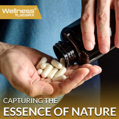 WELLNESS LABSRX Himalayan Shilajit sustainable harvest graphic highlights responsible sourcing.