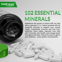 WELLNESS LABSRX product demonstrates hydrated skin and gentle nourishment.