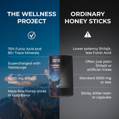 Travel-ready packaging of The Wellness Project Shilajit Honey Stick Pro suggests mess-free use.