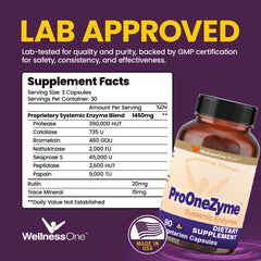WellnessOne ProOneZyme capsules close-up for daily digestive support.