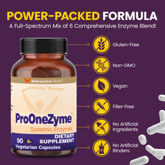WellnessOne ProOneZyme depiction of the digestive process for protein and fat breakdown.