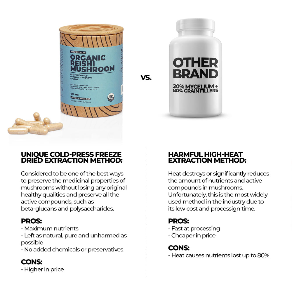 Wellnest Store Capsules in hand, convenient daily supplement routine.