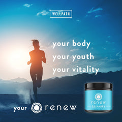 WellPath Renew may support digestive health as part of a balanced routine.
