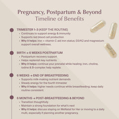WeNatal for Her subscription packaging demonstrates convenient prenatal nutrition