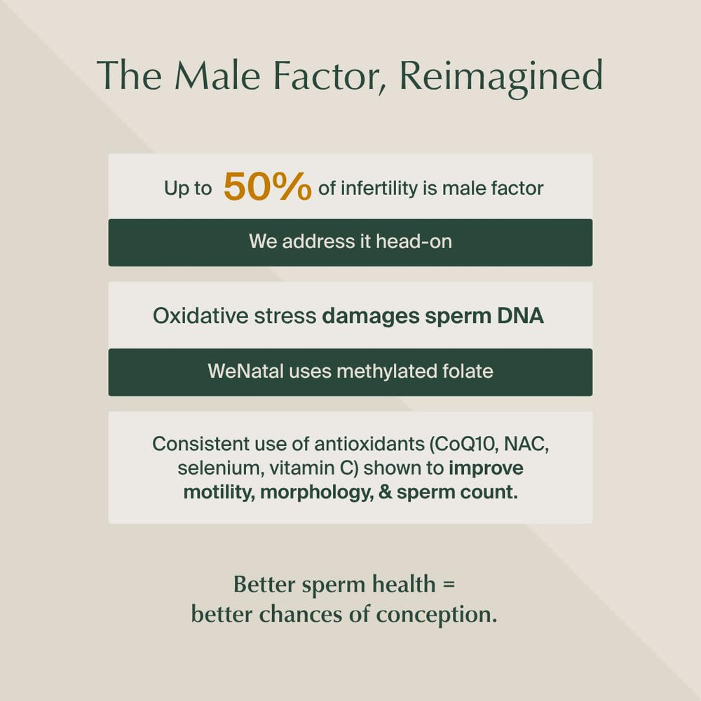 WeNatal for Him 90-capsule pouch marks a full month of targeted preconception nutrition.