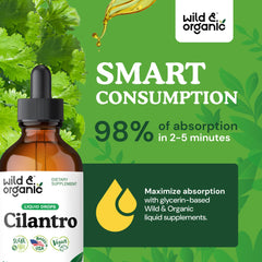 Wild & Organic cilantro tincture with cilantro leaves emphasizes natural ingredients