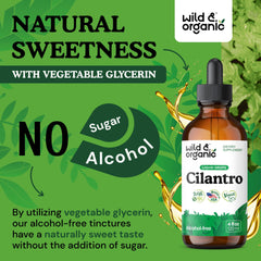 Wild & Organic cilantro tincture pour into glass for convenient dosing