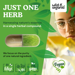 Wild & Organic Horsetail Capsules vegan coating close-up communicates plant-based shell.