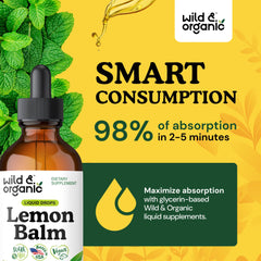 Natural ingredients plate featuring lemon balm leaves and glycerin base