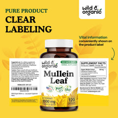 Lifestyle scene with a person taking one Wild and Organic mullein capsule