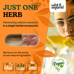 Wild & Organic Reishi capsules bottle emphasizes vegan coating and gluten free formula