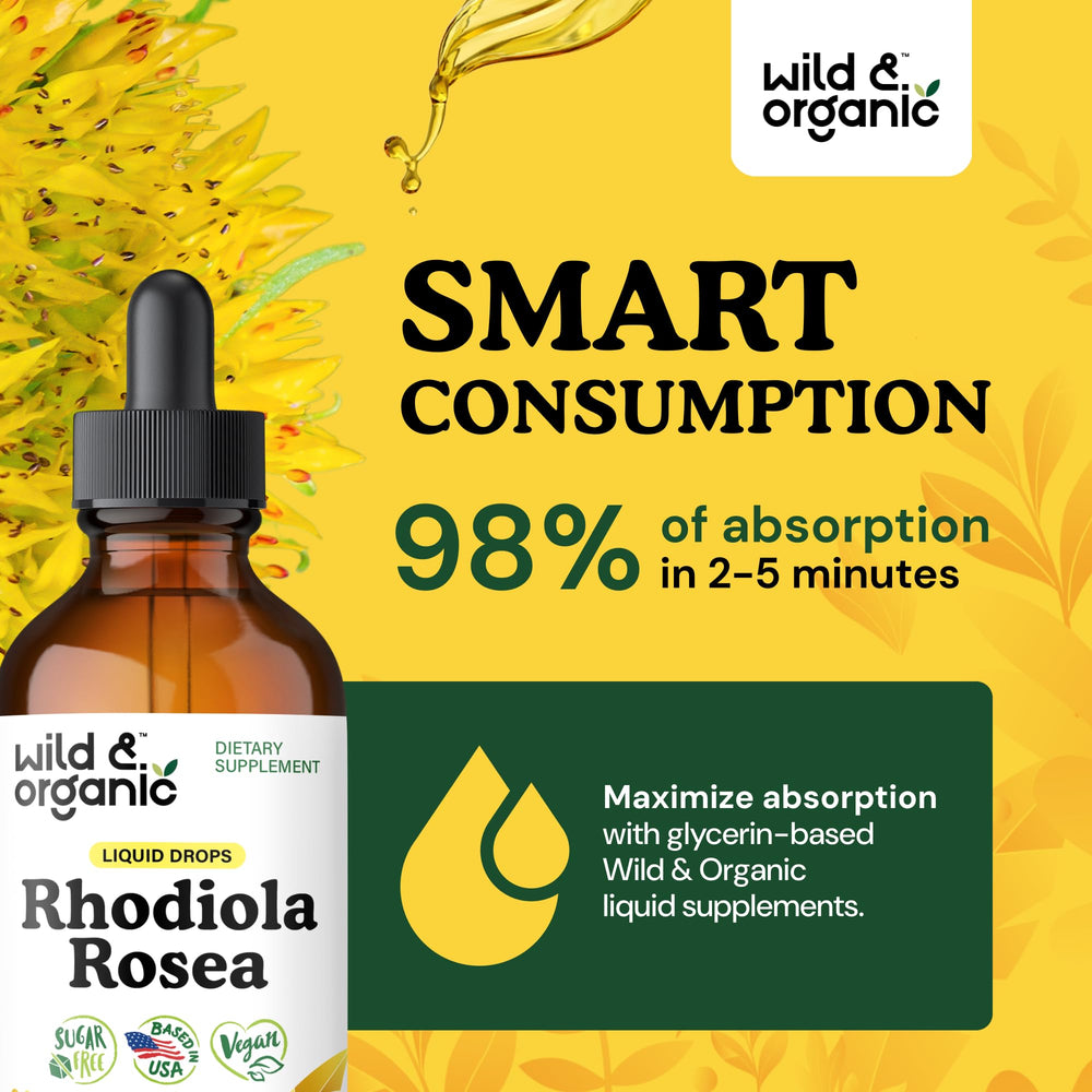 Close-up of natural rhodiola ingredients in tincture