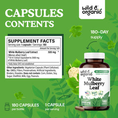 Wild & Organic white mulberry leaf capsules in hand emphasize convenient daily antioxidant support.