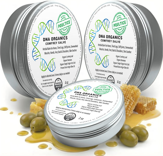 Wild Castle DNA Organics Comfrey Salve packaging closeup for natural skincare.