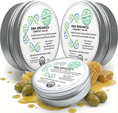 Wild Castle DNA Organics Comfrey Salve packaging closeup for natural skincare.