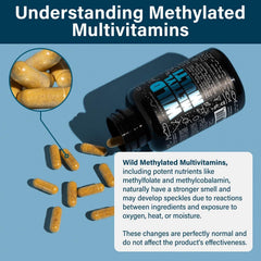 Wild Foods Wild Methylated Multivitamin in hand conveys everyday health support.