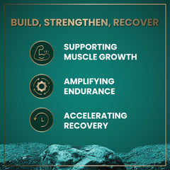 Wild Fuel HMB-D3 capsules on a workout mat illustrate training use.
