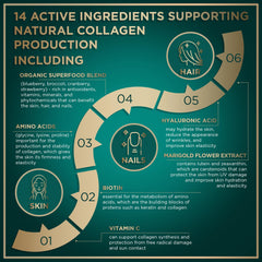 WILD FUEL vegan CGMP facility icon signals quality you can trust.