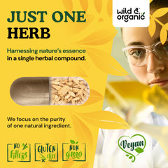 Wild & Organic Astragalus Capsules easy-swallow coating supports convenient daily use.