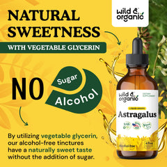Wild & Organic astragalus tincture ingredients panel indicates vegan, alcohol-free base