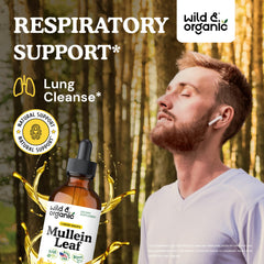 Wild & Organic mullein leaf extract for lungs, supports gentle detox