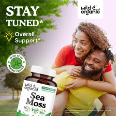 Wild & Organic Sea Moss Capsules bottle back showing ingredients